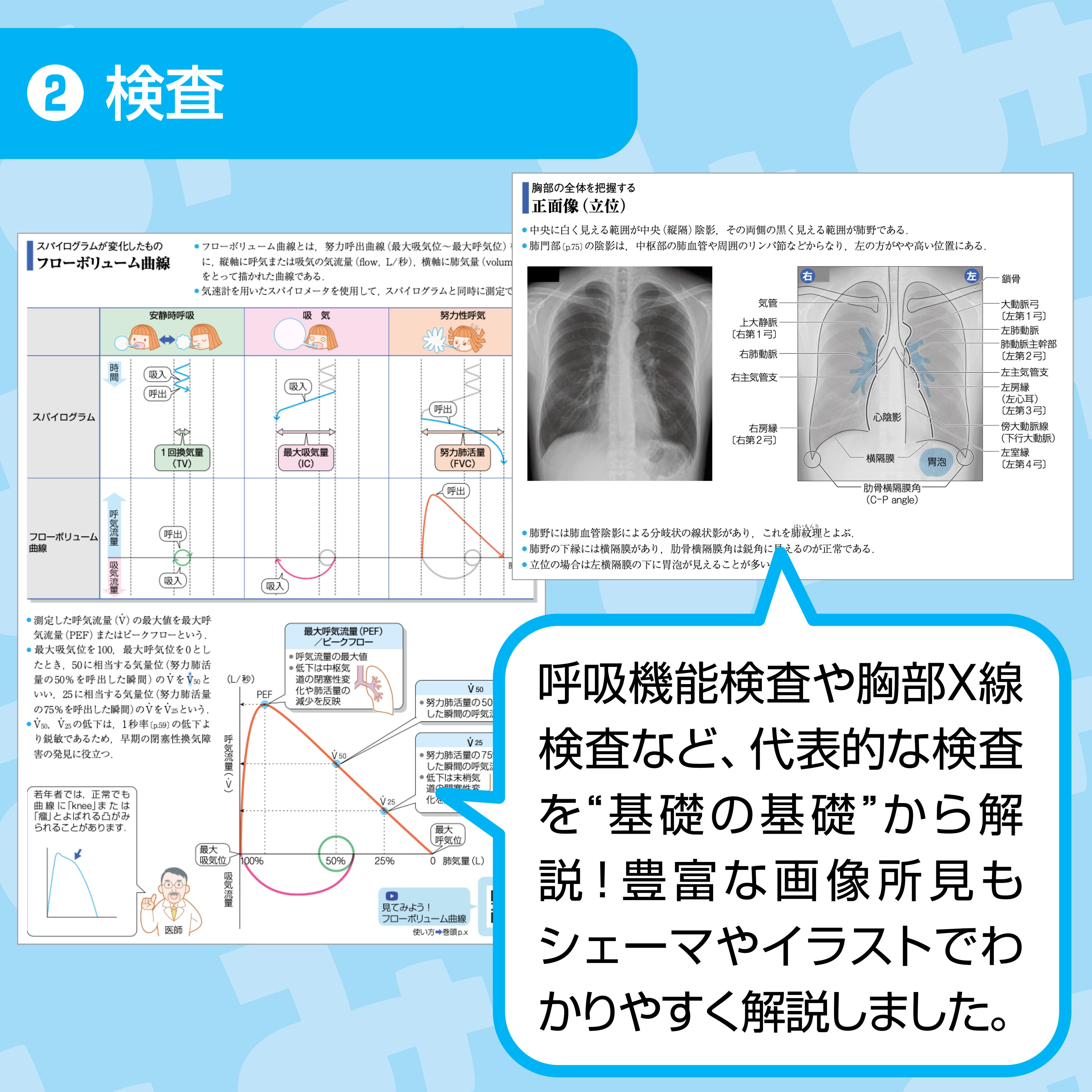 病気がみえる vol.4 (呼吸器) 病気がみえる - チーム医療を担う医療人共通のテキスト