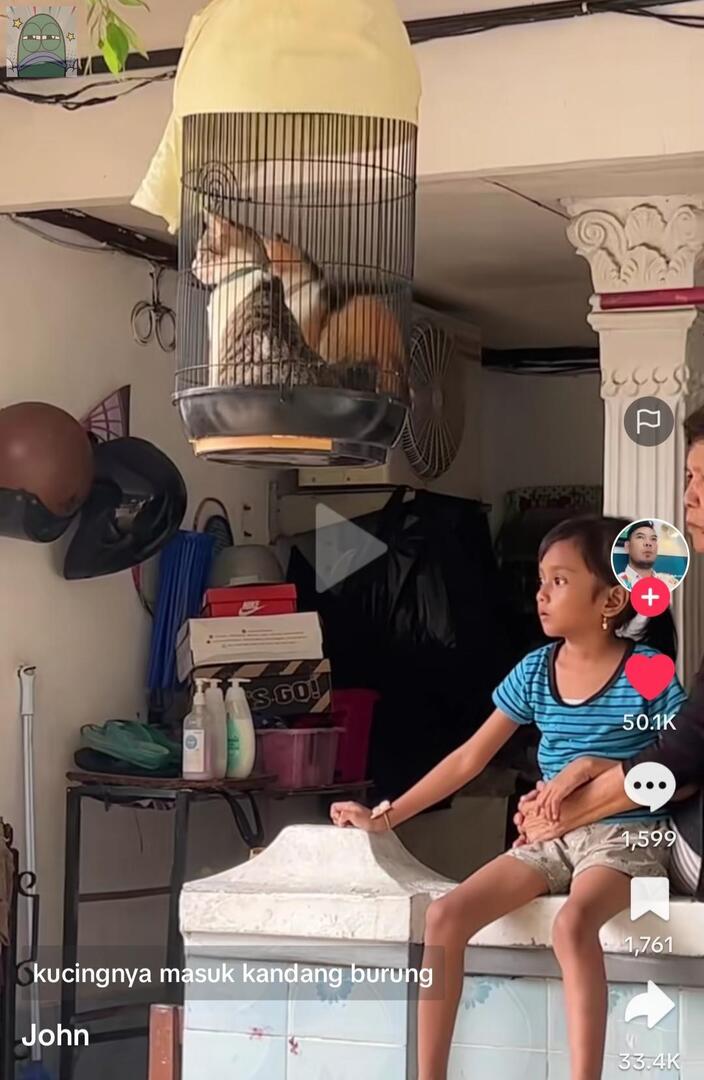 tanyarlfes's tweet image. 💚 sekarang udah tau gua misteri kemana kucing pergi kalo lagi banjir 😭❤