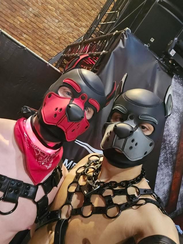Had the pleasure of meeting the hottie <a href="/PupD_Duke/">Pup Duke</a>