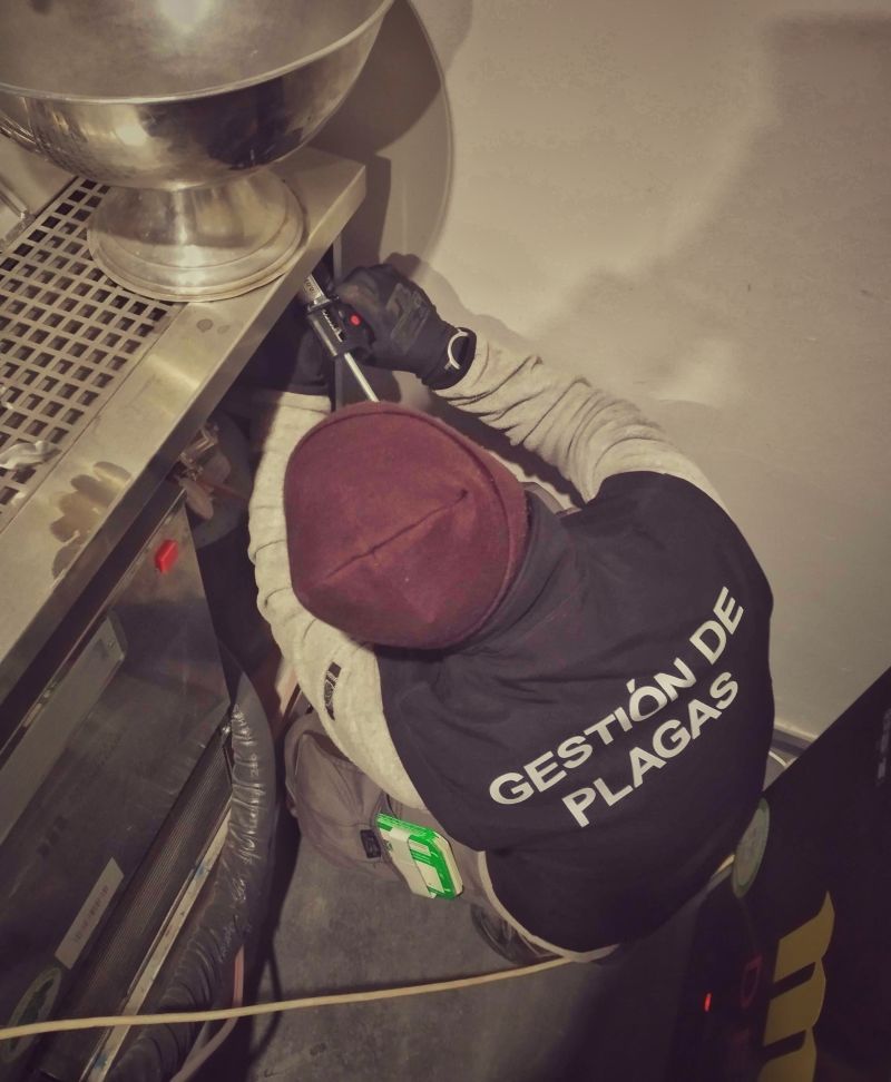 system_pest's tweet photo. #Desinfección, #Desratización y #Desinsectación en #Residencias, combinando productos químicos y trampas de captura

Las instalaciones quedan listas para garantizar que residentes y trabajadores no se encuentran con huéspedes indeseados

#controldeplagas #sanidadambiental #plagas https://t.co/Swyn8x4tGq