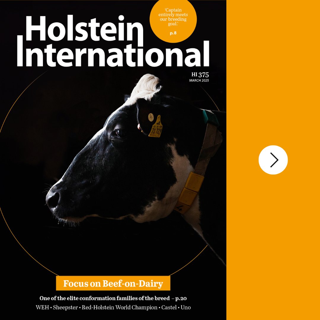Holstein International tweet media