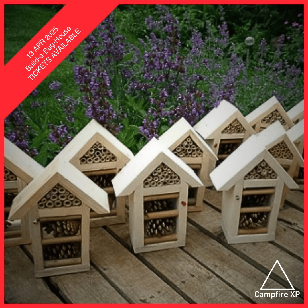 campfire_xp's tweet image. Assemble a smart wooden structure to attract & shelter bugs & bees at this family-friendly event, with @RealFarmED's Alex Dye leading a forest & meadowland minibeast trail. Tickets: campfirexp.com. #April #wildlife #event #workshop #easterholiday #activity #cotswolds