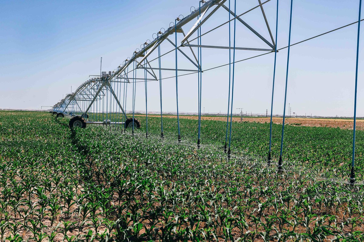 A 5% efficiency gain = thousands of gallons saved per season! 🚜💧 Fine-tuning irrigation isn’t just smart—it’s necessary. Get expert advice from K-State’s Jonathan Aguilar to stay ahead in the TAPS competition:ksre.k-state.edu/news-and-publi… #TAPS #KSUTAPS #Irrigation #KSAgriculture