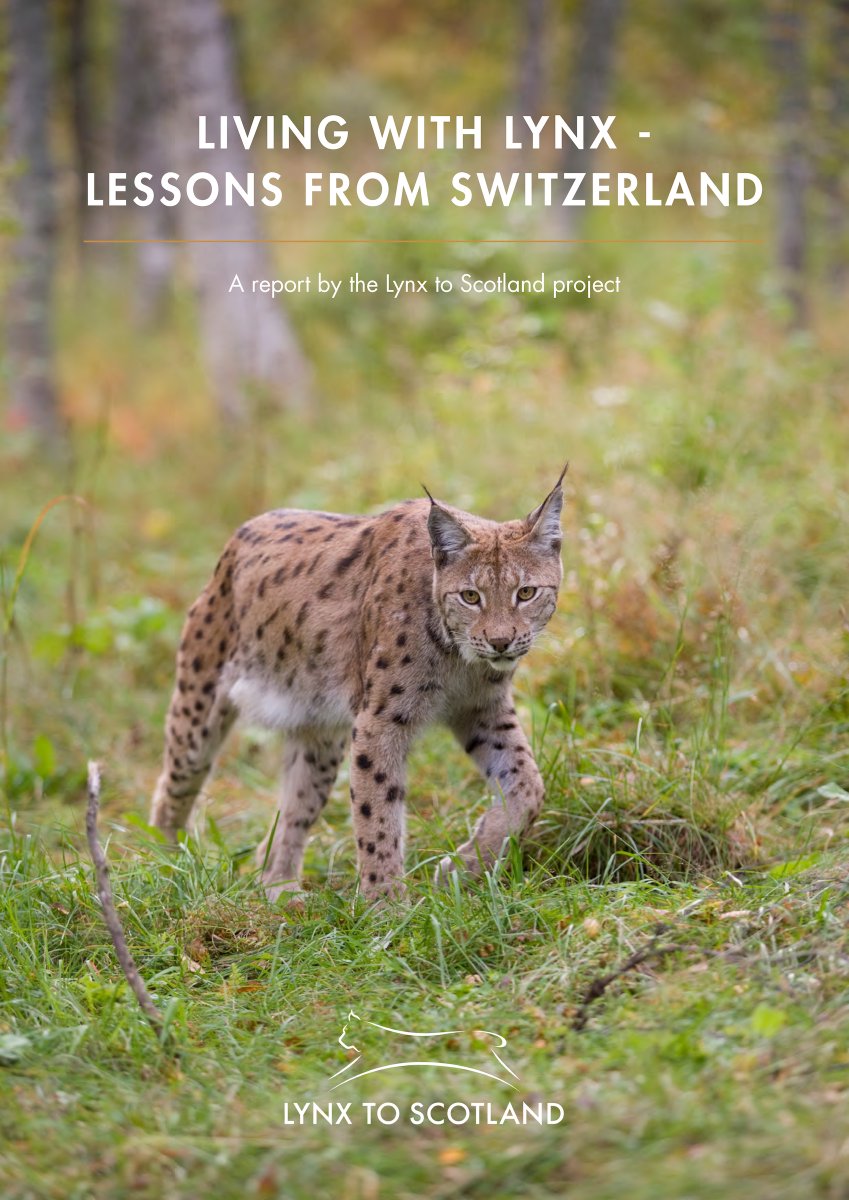 ScotlandTBP's tweet image. Lessons from Switzerland: Can Scotland Coexist with Lynx? 🐾

Switzerland reintroduced lynx 50 years ago, and today, over 200 lynx share the landscape with farmers. Could Scotland do the same?

A group of Scottish land managers recently visited the Swiss Jura to see coexistence…