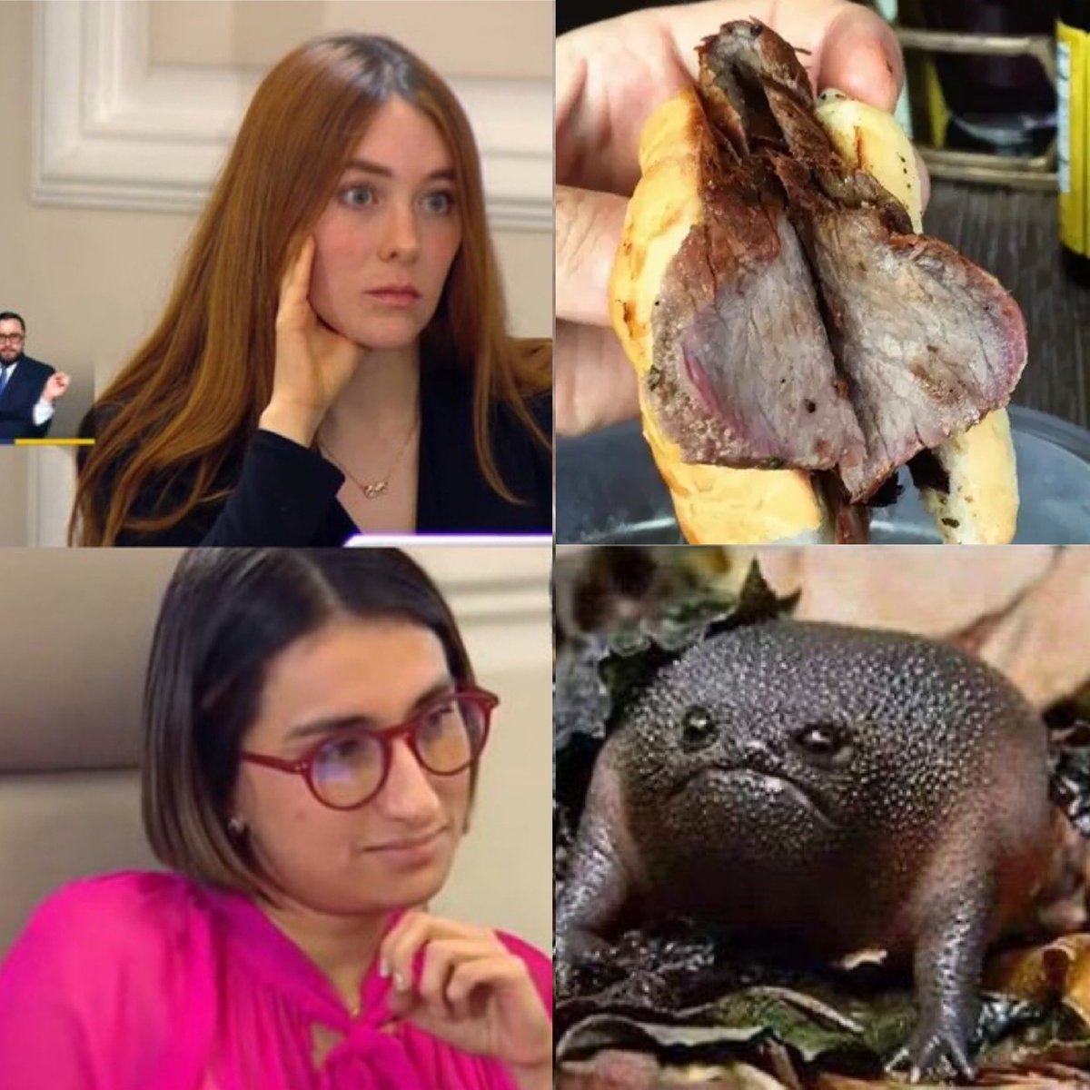 🗣️Sedientos: ¡TODAS LAS PETRISTAS SON RCN (Rubia Cuquinegra) no se hagan ilusiones!