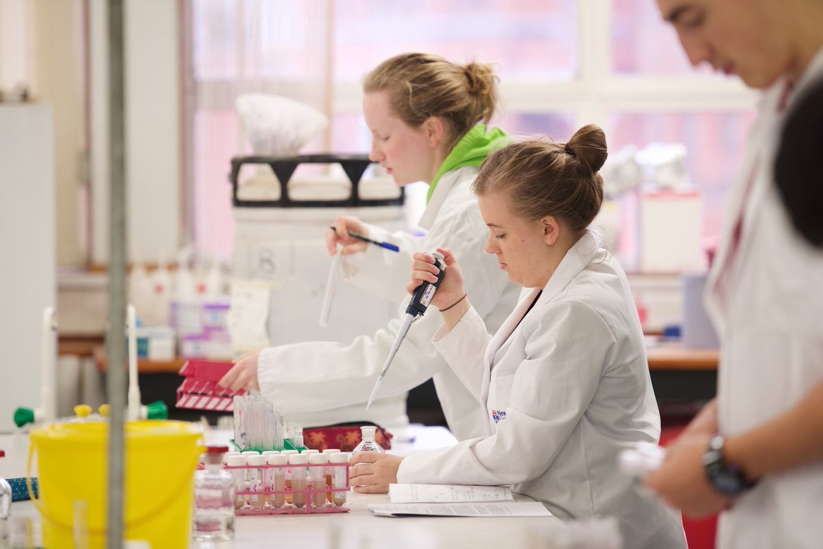 NCL_medscience's tweet photo. Today marks the start of #NutritionWeek2025!
Have you considered a career in Nutrition? Our courses focus on the impact of nutrition on health & disease. You'll look at nutrition from the cellular & molecular level, through to people & populations.
🔗 https://t.co/zzqI4H3uaS https://t.co/zwyBdKAKS3