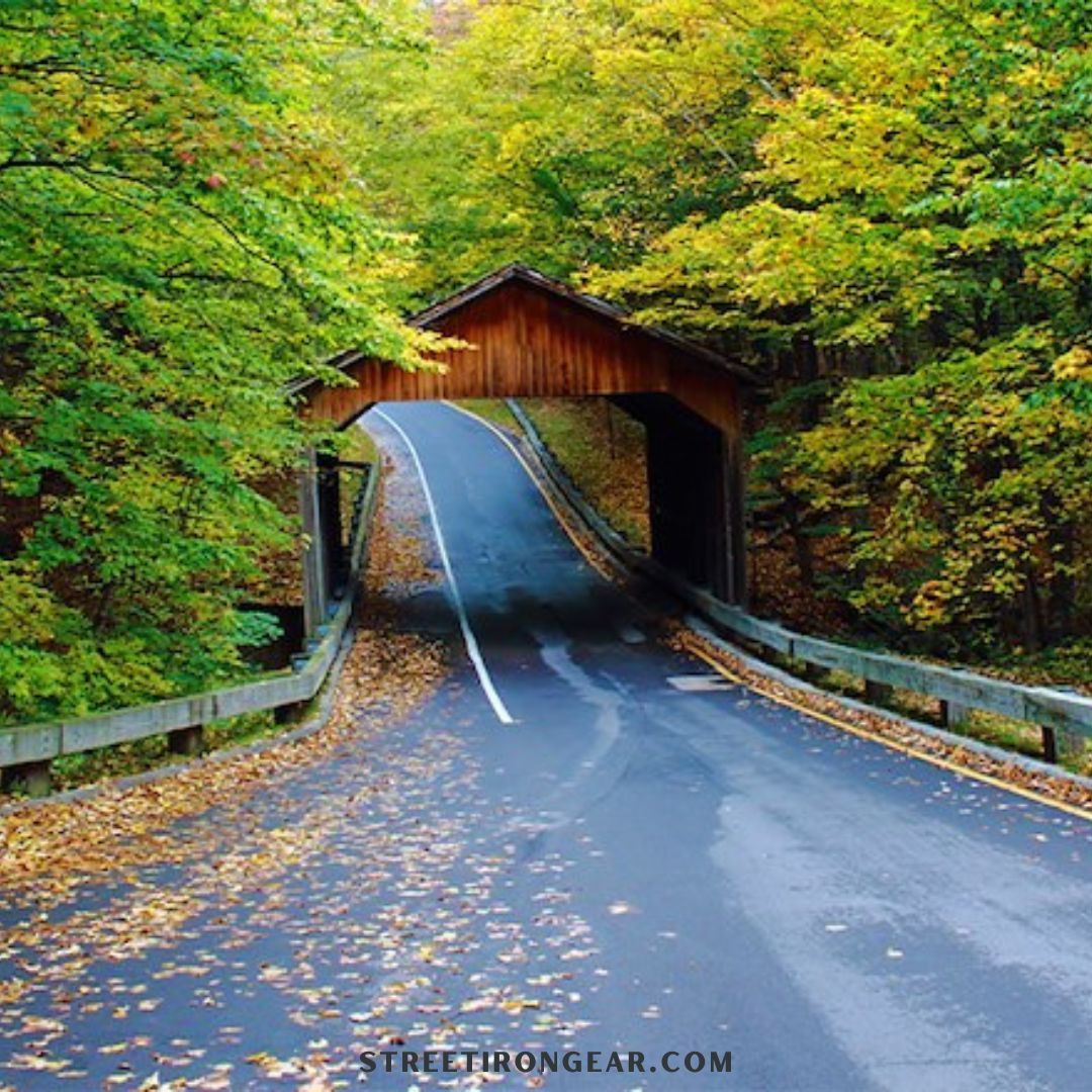 StreetIronGear's tweet image. The Tunnel of Trees in Michigan is a 20-mile stretch of M-119 that feels like riding through a storybook. 

#TunnelOfTrees #MichiganRides #ScenicRoads #streetirongear