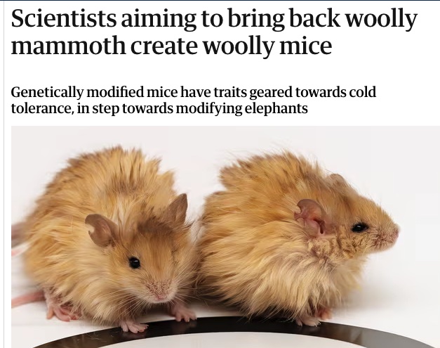 FreyaBBooks's tweet image. Turns out gene editing is a lot like book editing
theguardian.com/science/2025/m…