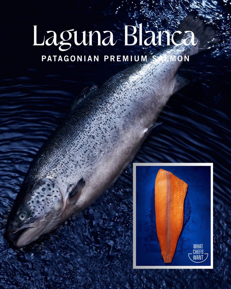 Laguna Blanca #Salmon is raised in the pristine, remote waters of Magallanes, Chile (Region XII)—far from pollution and farmed without antibiotics for the cleanest, purest flavor. 

4+ Hand-Cut Fillet (#33469)
Skin-Off Fillet (#33485)
Whole (12-14lb, #33495)