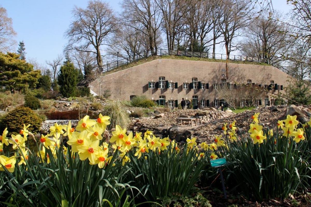 Ons lentenummer is uit - Mijn voorjaarstuin - Voorjaarsweekend - Helleborusdagen - Bloembollenroute - Appeltern - Hortus Bulborum - mailchi.mp/d60e2853ca42/d…