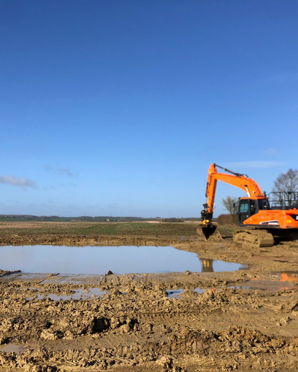 NewtPartnership (@newtpartnership) on Twitter photo 🌱 We are working with Nattergal at Boothby Wildland in Lincolnshire to compensate for habitat lost through Network Rail development.
In 2023, we created a new pond complex for great crested newts to breed in: freshwaterhabitats.b-cdn.net/app/uploads/20…
<a href="/ARC_Bytes/">Amphibian and Reptile Conservation</a> @freshwaterhabs <a href="/NatureSpaceUK/">NatureSpace Partnership</a> 🌱 We are working with Nattergal at Boothby Wildland in Lincolnshire to compensate for habitat lost through Network Rail development.
In 2023, we created a new pond complex for great crested newts to breed in: freshwaterhabitats.b-cdn.net/app/uploads/20…
<a href="/ARC_Bytes/">Amphibian and Reptile Conservation</a> @freshwaterhabs <a href="/NatureSpaceUK/">NatureSpace Partnership</a>