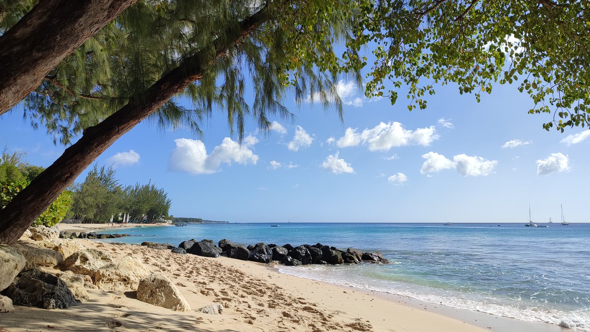 A few weeks ago, I presented SNAP at the wonderful #Bellairs Workshop on Causality in Barbados🐢

This Friday, I will get to present SNAP again at the kick-off of the newest season of #CausalClub 🤌 Check out this, and their other amazing upcoming talks at causalclub.di.unipi.it