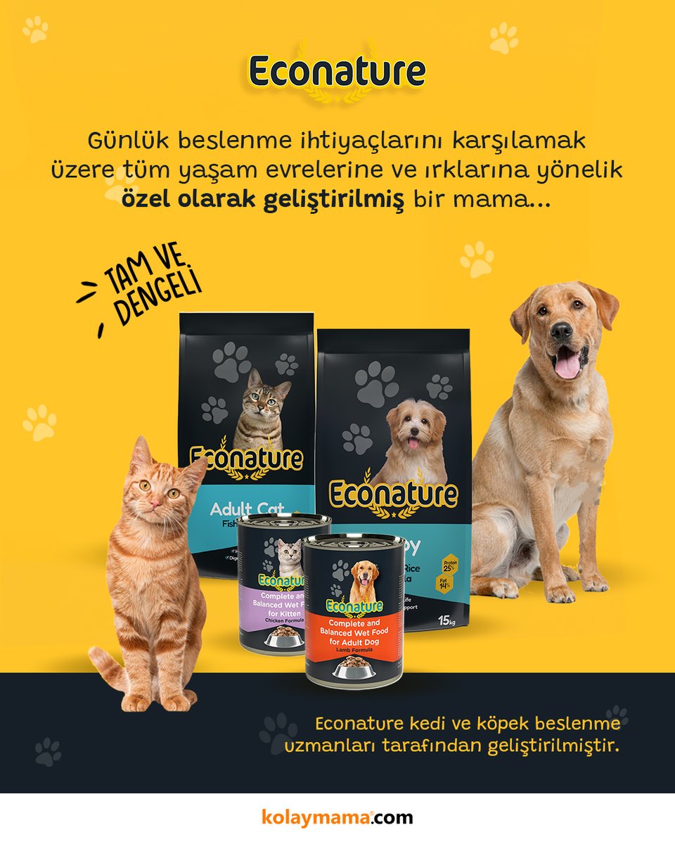 Tüm yaşam evrelerine ve ırklarına yönelik özel olarak geliştirilen formülasyonlara sahip Econature, geniş ve kaliteli ürün yelpazesi ile Türkiye'nin en çok tercih edilen mamalarından biridir.

Kuru ve yaş mama çeşitlerini incelemek için kolaymama.com/eco-nature ziyaret edin 🐶😽