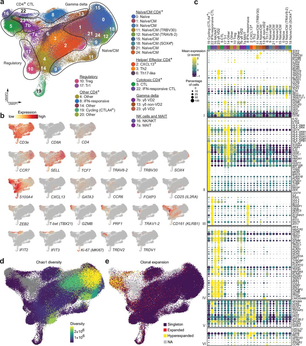 My co-first author paper was out.  Cancer-specific innate and adaptive immune rewiring drives resistance to PD-1 blockade in classic Hodgkin lymphoma nature.com/articles/s4146…