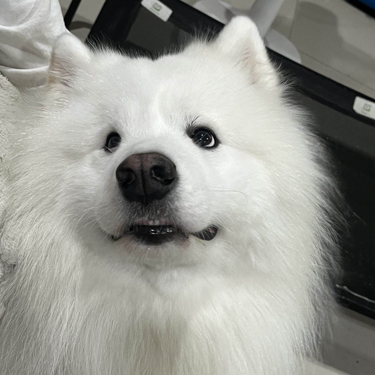 อาบน้ำมาตัวพอร์ชหอมๆเบย