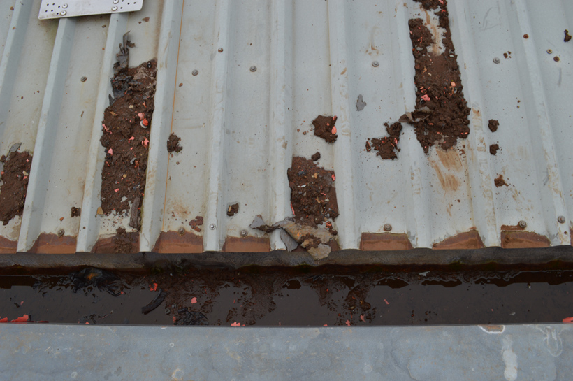 CladdingCoating's tweet image. We specialise in combating roof and wall corrosion with specialist solutions for long-lasting results.

Learn more about safeguarding your property here claddingcoatings.co.uk/news/combattin…

#BuildingMaintenance #CorrosionProtection #CladdingSolutions