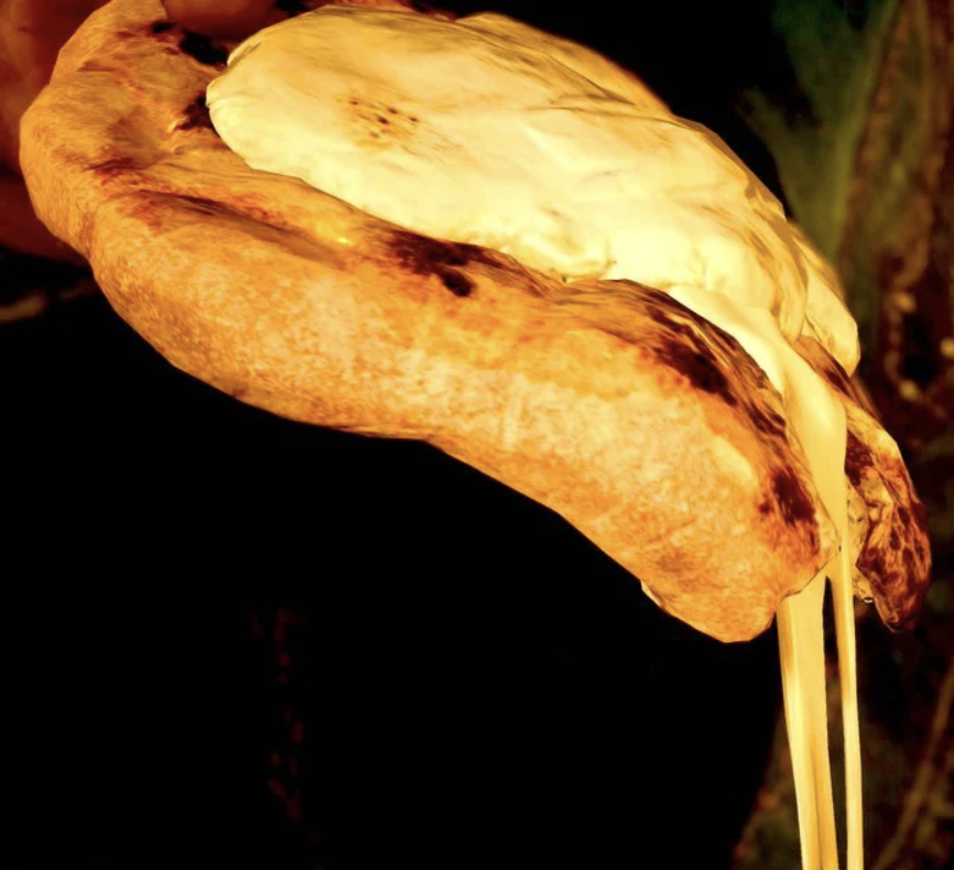 Dexerto's tweet photo. Cheese naans are selling out in Japan due to Monster Hunter Wilds, which features a highly realistic in-game version https://t.co/FMKslBmaa4