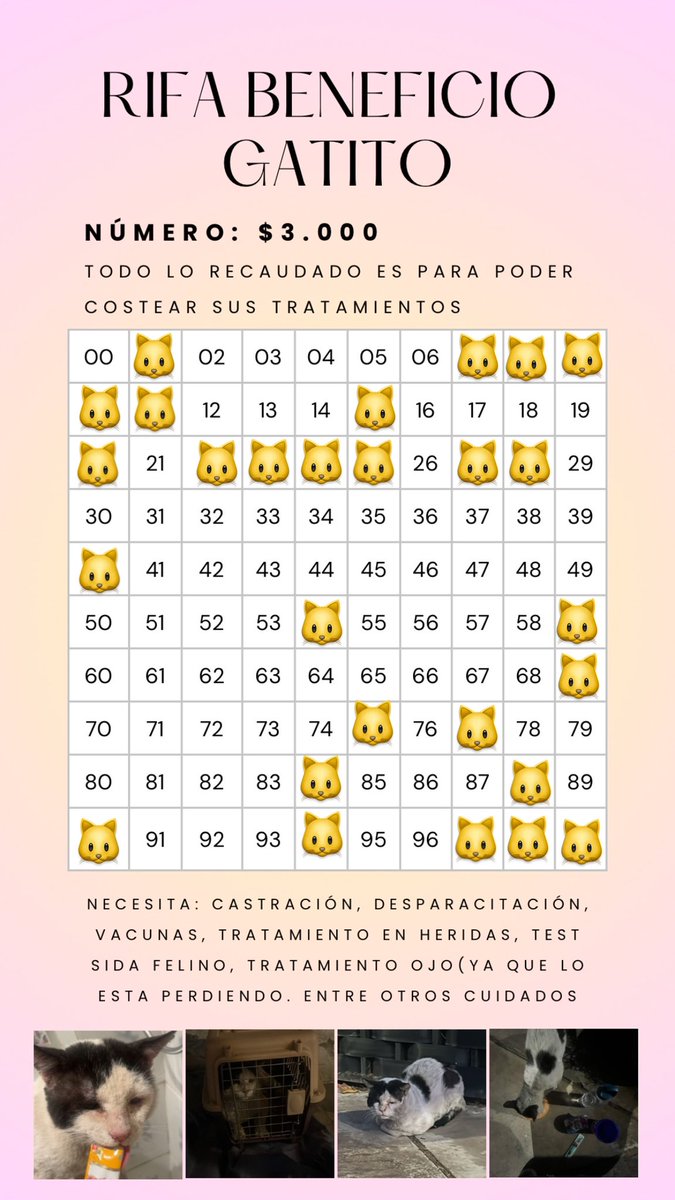 vguzolm's tweet photo. @RobertoMerken Hola! Perdón por publicar esto aquí pero el día Domingo rescate un gatito y estoy haciendo una rifa para poder costear todos sus tratamientos. Les agradezco si pudieran compartir o ayudar con lo que sea hasta $100 pesos 🙏🏻🆘🐱🩷
(En la foto están los datos)  GRACIAS 🙏🏻‼️🆘🩷 https://t.co/xy04AuXsuh