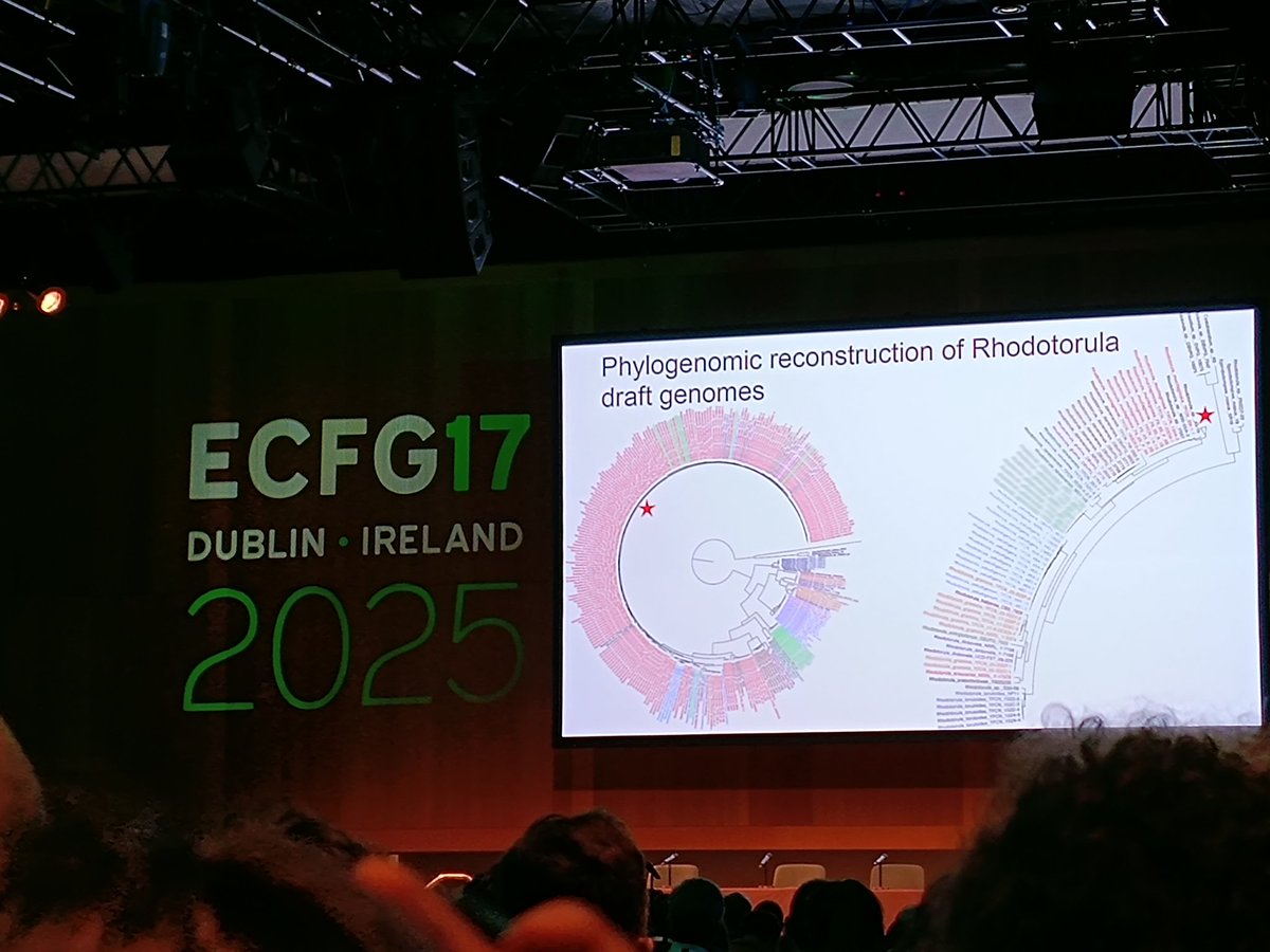 FungiDB (@fungidb) on Twitter photo Fantastic talk by <a href="/hyphaltip/">Jason Stajich</a> at <a href="/ECFG17Dublin/">ECFG17 - 17 European Conference on Fungal Genetics</a> about population diversity and evolution of fungi in extreme environments #Rhodotorula <a href="/NSF/">U.S. National Science Foundation</a> #fungi #genomics #phenotype Fantastic talk by <a href="/hyphaltip/">Jason Stajich</a> at <a href="/ECFG17Dublin/">ECFG17 - 17 European Conference on Fungal Genetics</a> about population diversity and evolution of fungi in extreme environments #Rhodotorula <a href="/NSF/">U.S. National Science Foundation</a> #fungi #genomics #phenotype