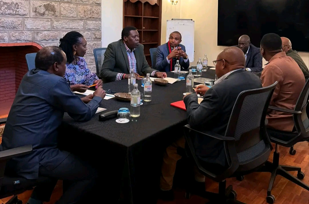 Now, from this meeting,go straight to tononoka Ground in mombasa, Bukhungu stadium ,Suswa grounds, and I can join you in Nyeri stadium. If you do this within a month, Ruto will not just go home, but he will kneel down and beg for forgiveness . But if the number of meetings you