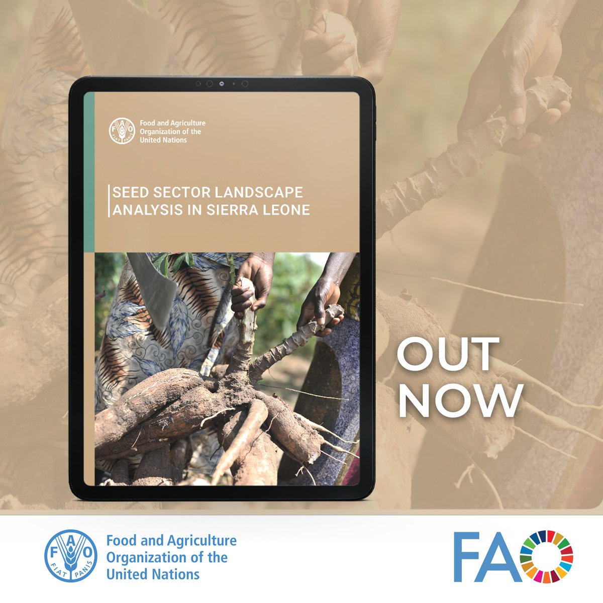 ✍️Out now 
☑️<a href="/FAOWestAfrica/">FAO West Africa</a>  has just published an analysis on the seed sector in Sierra Leone 🇸🇱
▶️ Click here 👇 
doi.org/10.4060/cd4223…

<a href="/FAOSierraLeone/">FAO in Sierra Leone</a> 
<a href="/AfricaSeeds/">AfricaSeeds</a> 
<a href="/CORAFNews/">CORAF</a>  
<a href="/ecowas_cedeao/">Ecowas - Cedeao</a> 
<a href="/UEMOA_Officiel/">UEMOA_Officiel</a>
@sierraleone
<a href="/hmkpaka/">Henry Musa Kpaka</a>
<a href="/CILSSinfos/">CILSS</a> 
<a href="/AdinBloukounon/">BLOUKOUNON Adin</a>