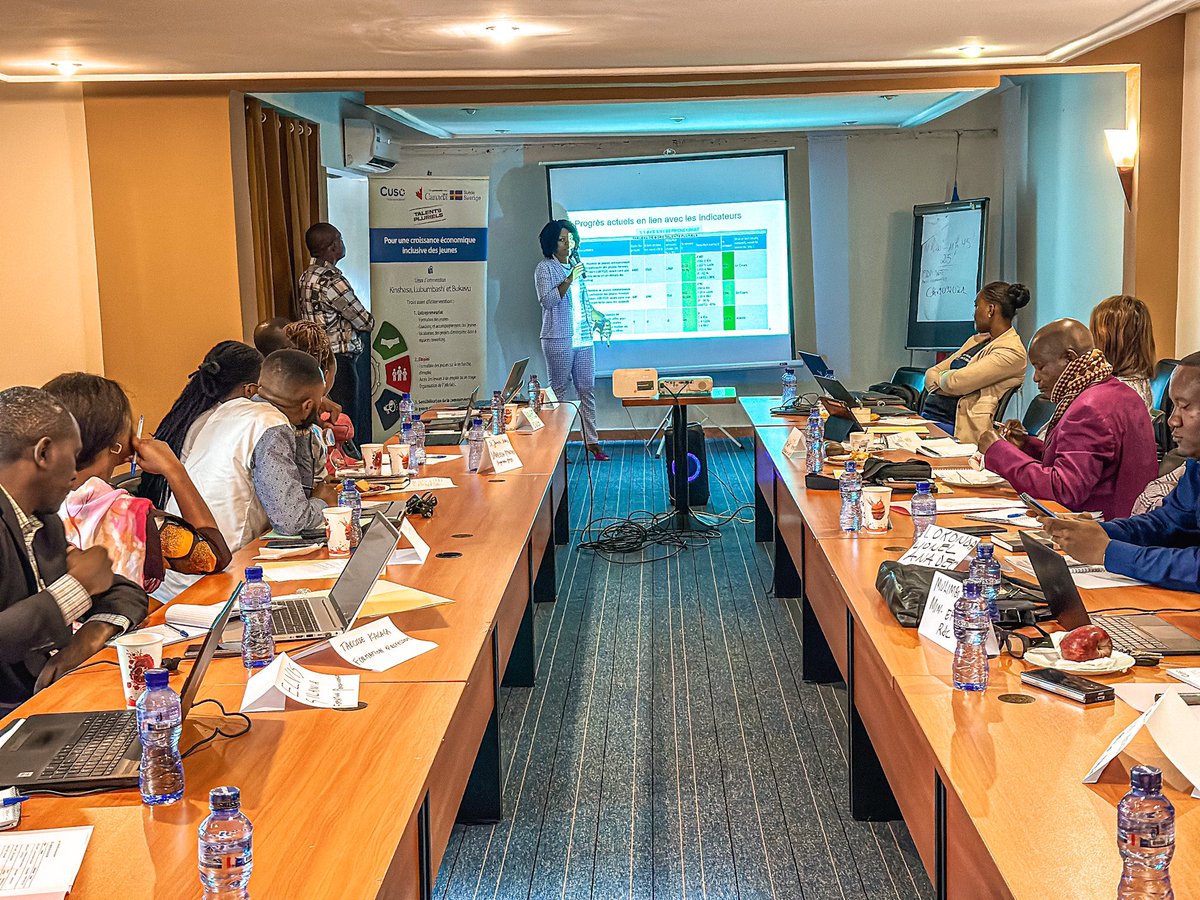 Sweden in DR Congo tweet media