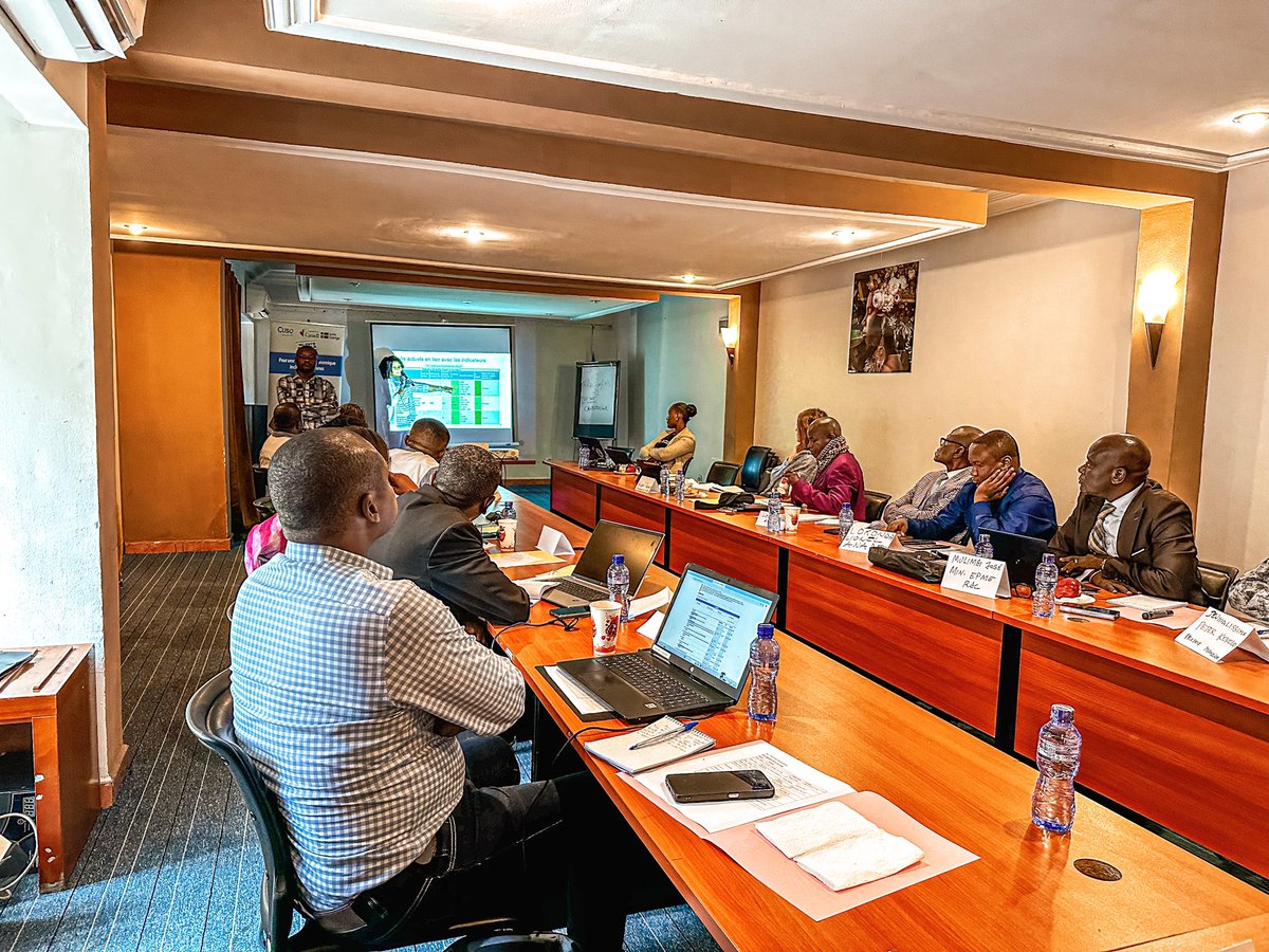 Sweden in DR Congo tweet media