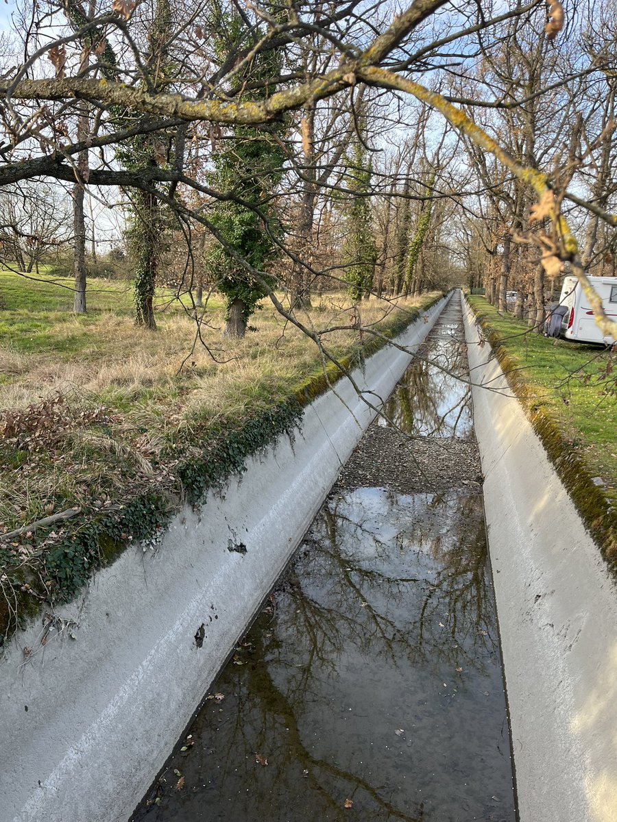 MatthieuSUBIRA's tweet photo. Le canal de Saint-Martory ce matin à hauteur du golf de La Ramée. https://t.co/6MQ0LQ5Tu4