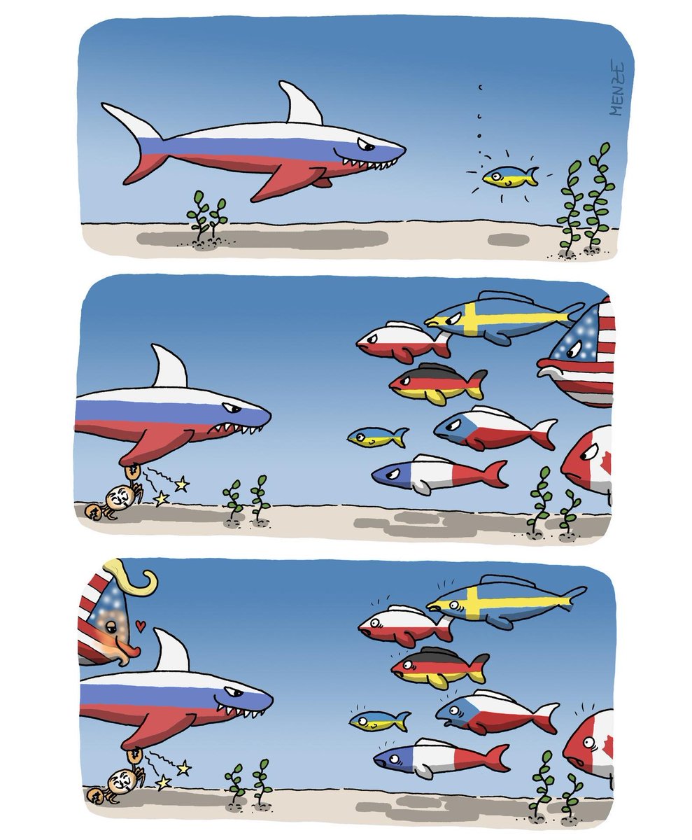 Der Gepardkommandant tweet media