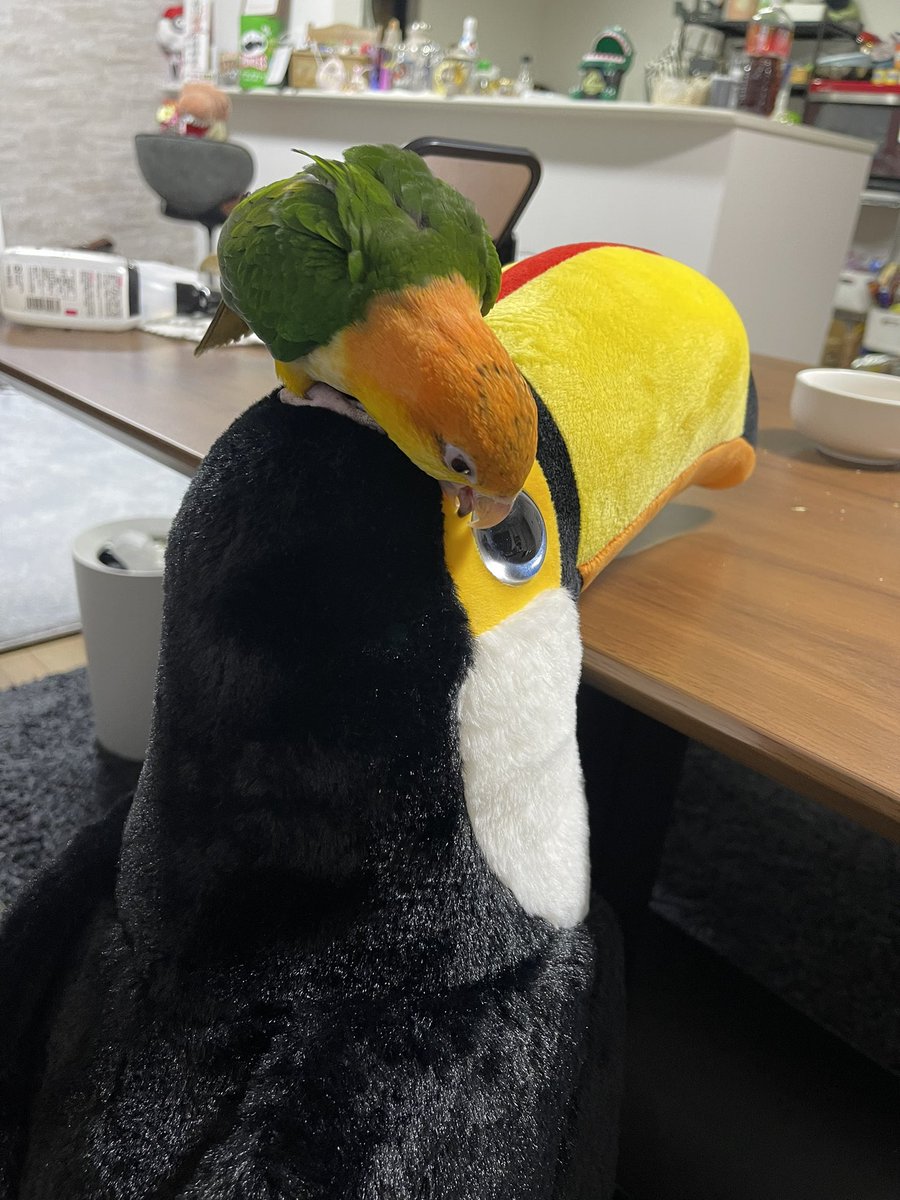 な〜にぃ〜この大きい目ん玉ァァア