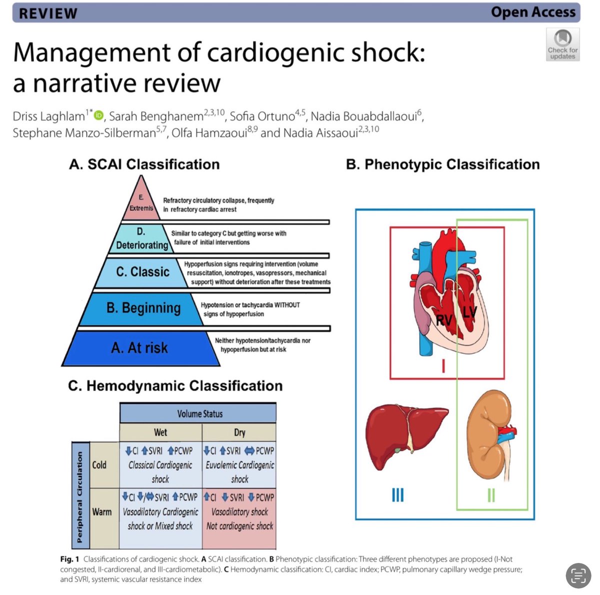 There are numerous ways to classify cardiogenic shock. The key point is identifying it in the first place. The pendulum has swung to where any lactate elevation is sepsis and given fluid boluses to the detriment of the patient. 🎩 tip to the authors. 

eddyjoemd.com/foamed/