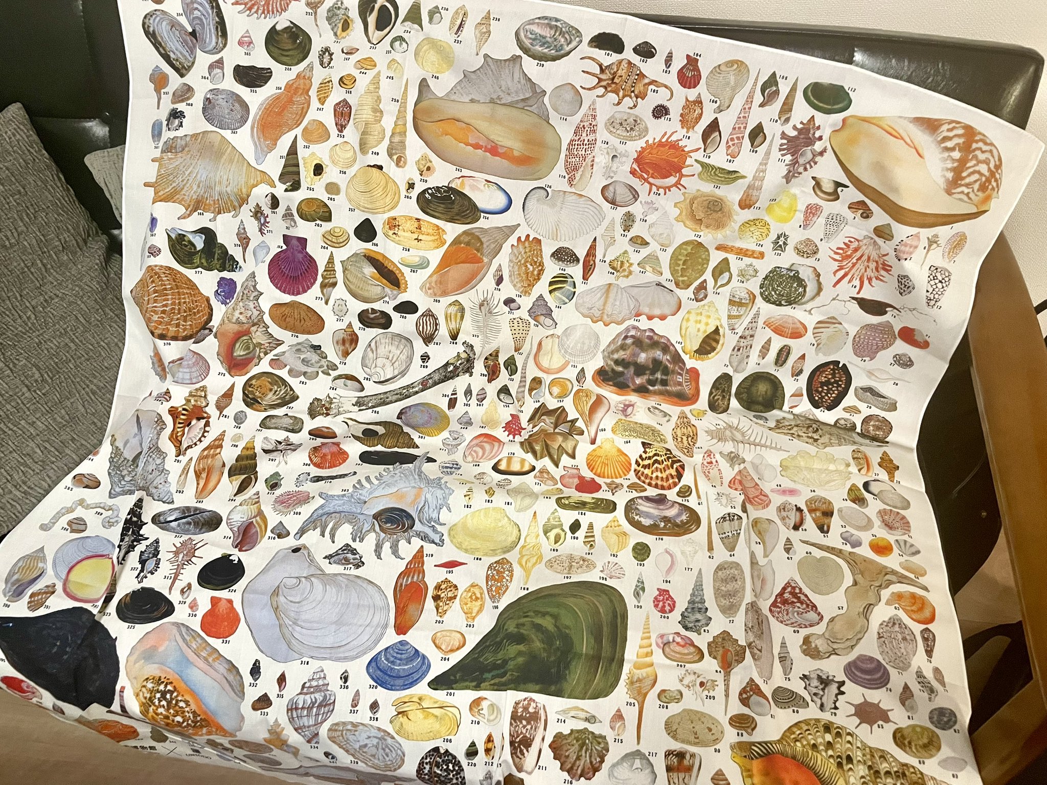 佐野まいける on X: 