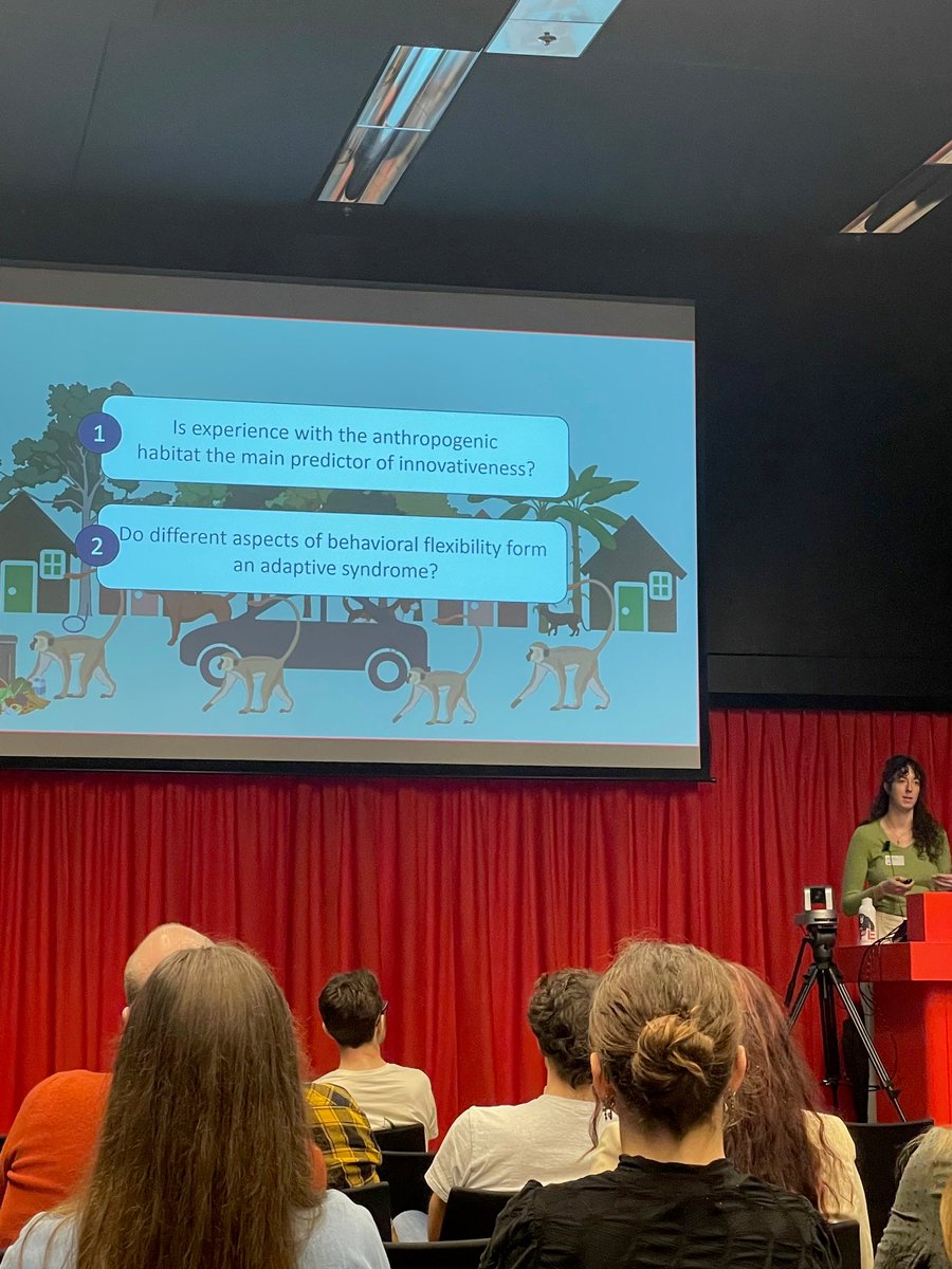 Urban Vervet Project (@urbanvervet) on Twitter photo Last week part of our team attended the Culture Conference in Utrecht and Paige Barnes presented her MSc thesis results on the anthropocentric impact on problem solving skills in urban vervet monkeys. <a href="/SimbithiEco/">SimbithiEcoEstate</a> Last week part of our team attended the Culture Conference in Utrecht and Paige Barnes presented her MSc thesis results on the anthropocentric impact on problem solving skills in urban vervet monkeys. <a href="/SimbithiEco/">SimbithiEcoEstate</a>