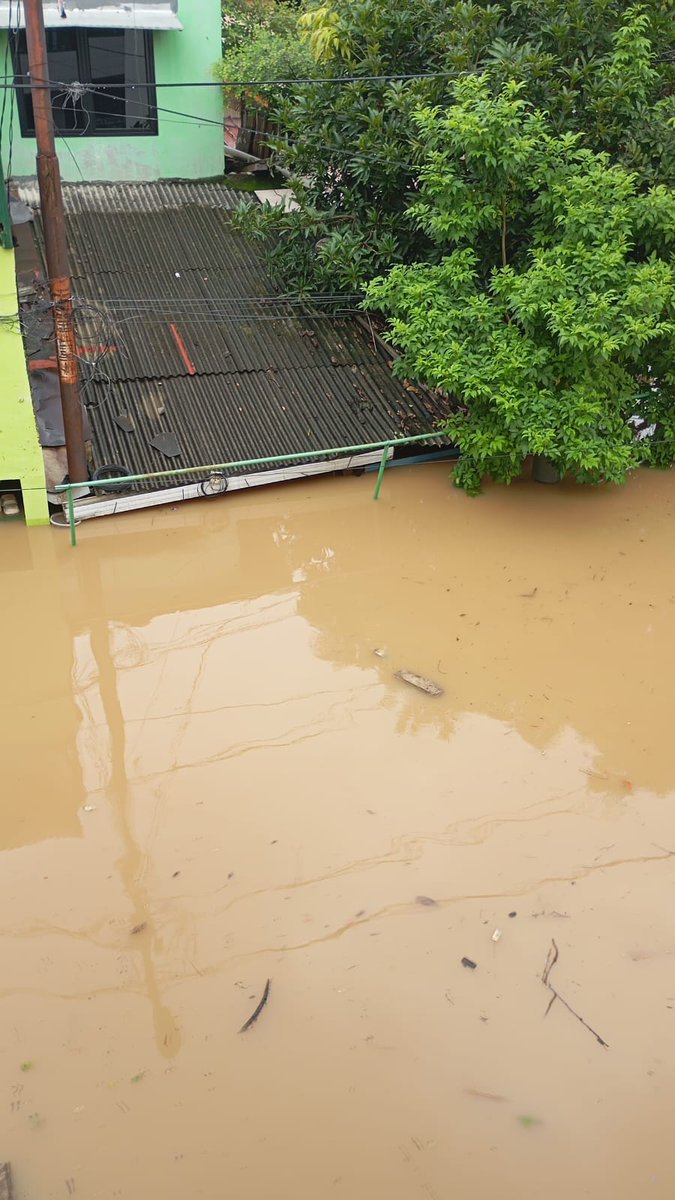 Wirdah Haibara tweet media