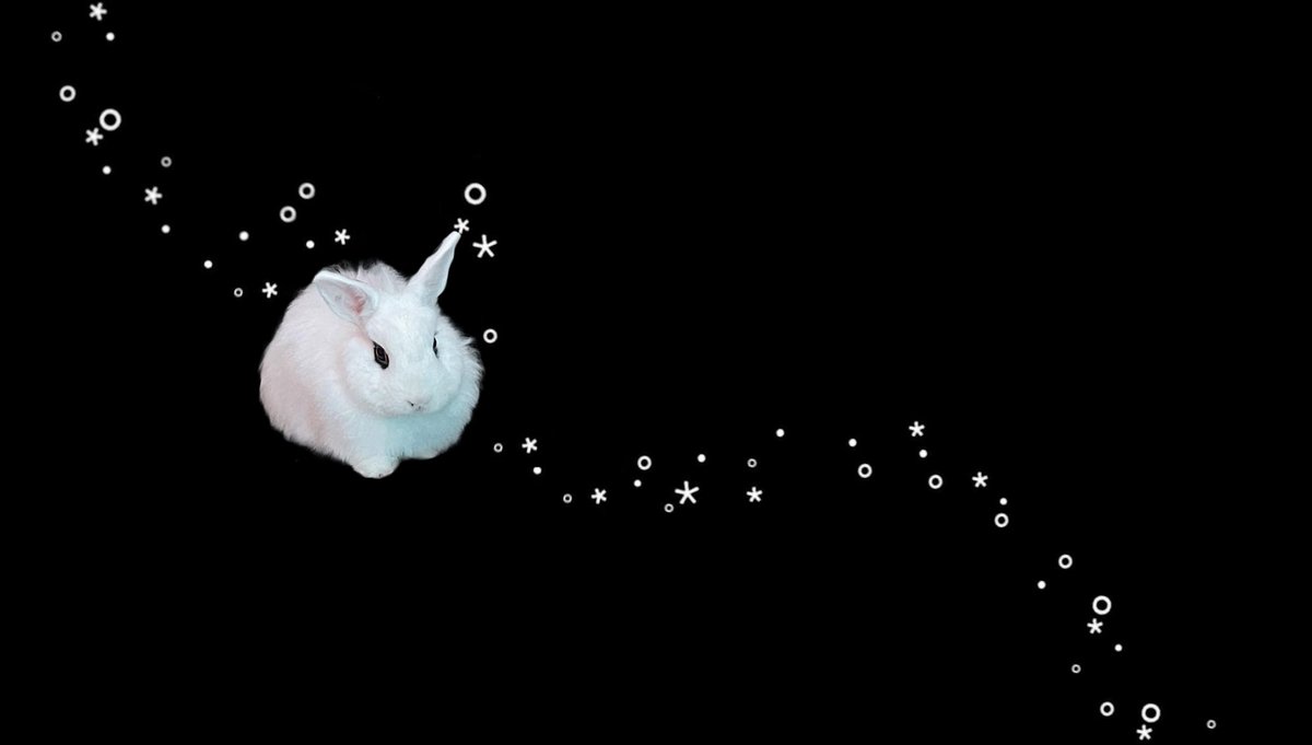 ･ ｡
    ∴｡
     ･ﾟ*｡.
       ･ *ﾟ
   ･ ﾟ*
   ･｡
 *･｡
    *.｡
       ｡･
          ﾟ｡
             °*.
             ﾟ *.
         ｡｡ ･
      ｡ ･ﾟ
  ｡°*.
｡*･｡