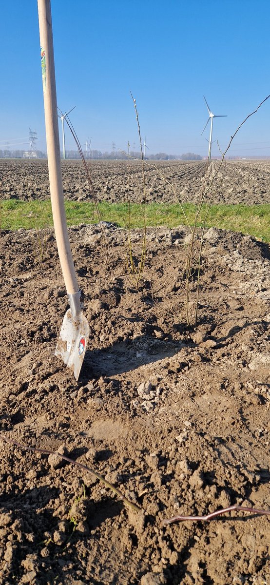 Joost Rijk tweet media