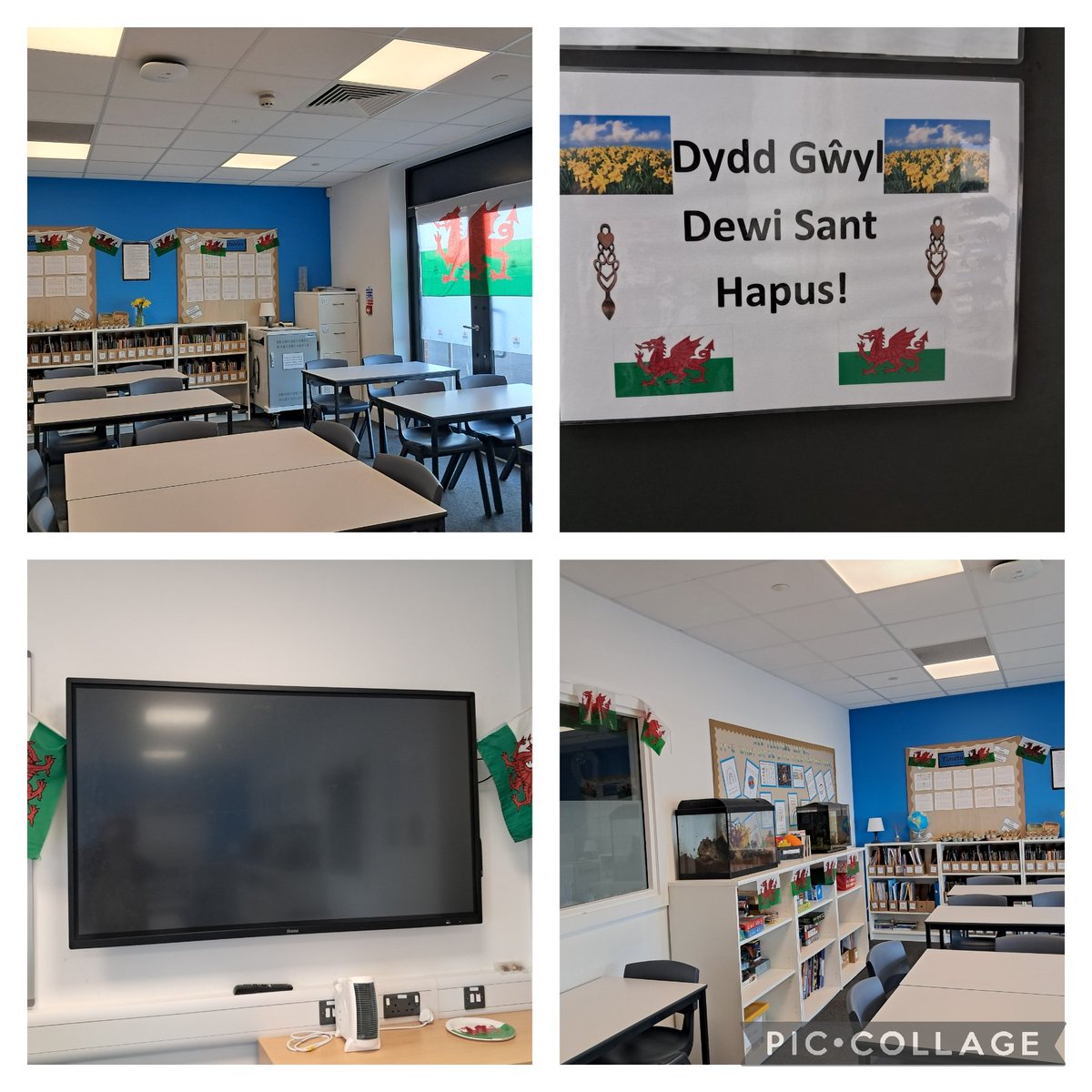 Celebrating St David's Day in the department today. 
<a href="/WhitmoreHigh/">Whitmore High School</a> @WHSdog