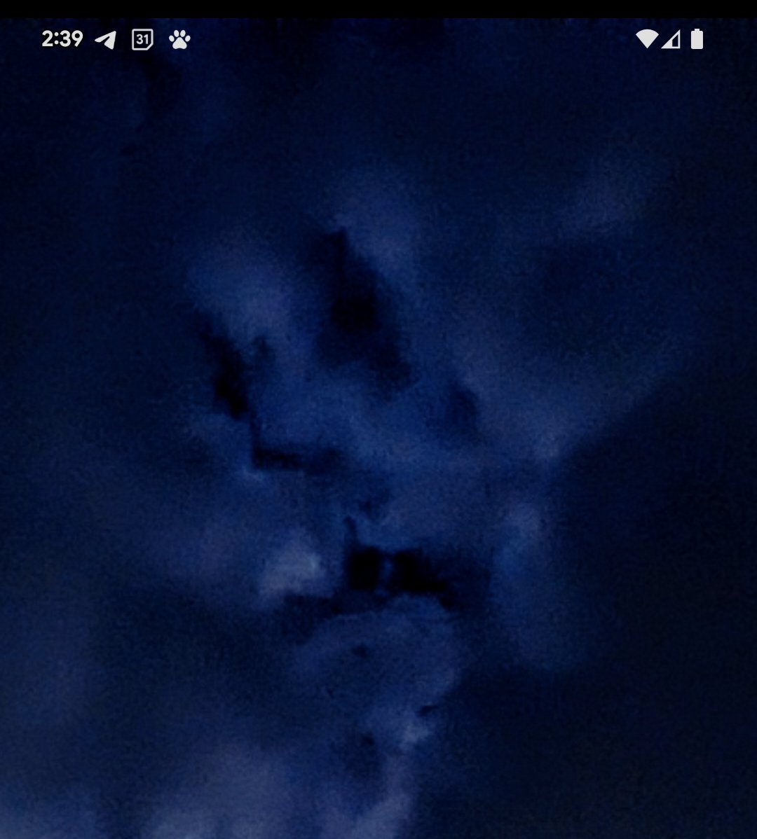 Moonlit Illusion tweet media