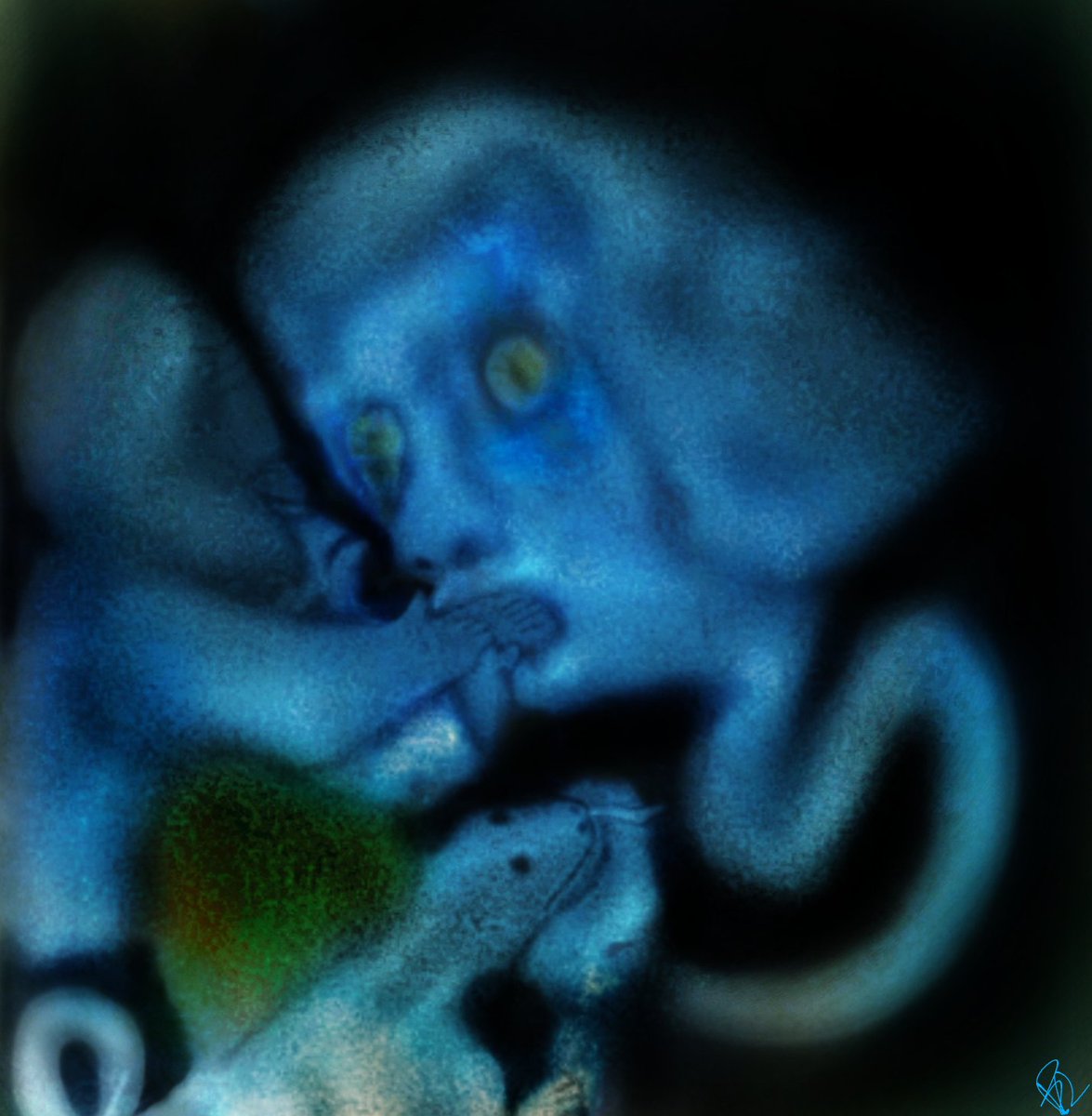Moonlit Illusion tweet media