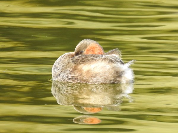 Segunda entrega del inventario visual: educa2.madrid.org/.../-/blogs/in…
