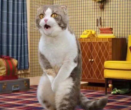 Pierre Abélard après son agression en 1117 :