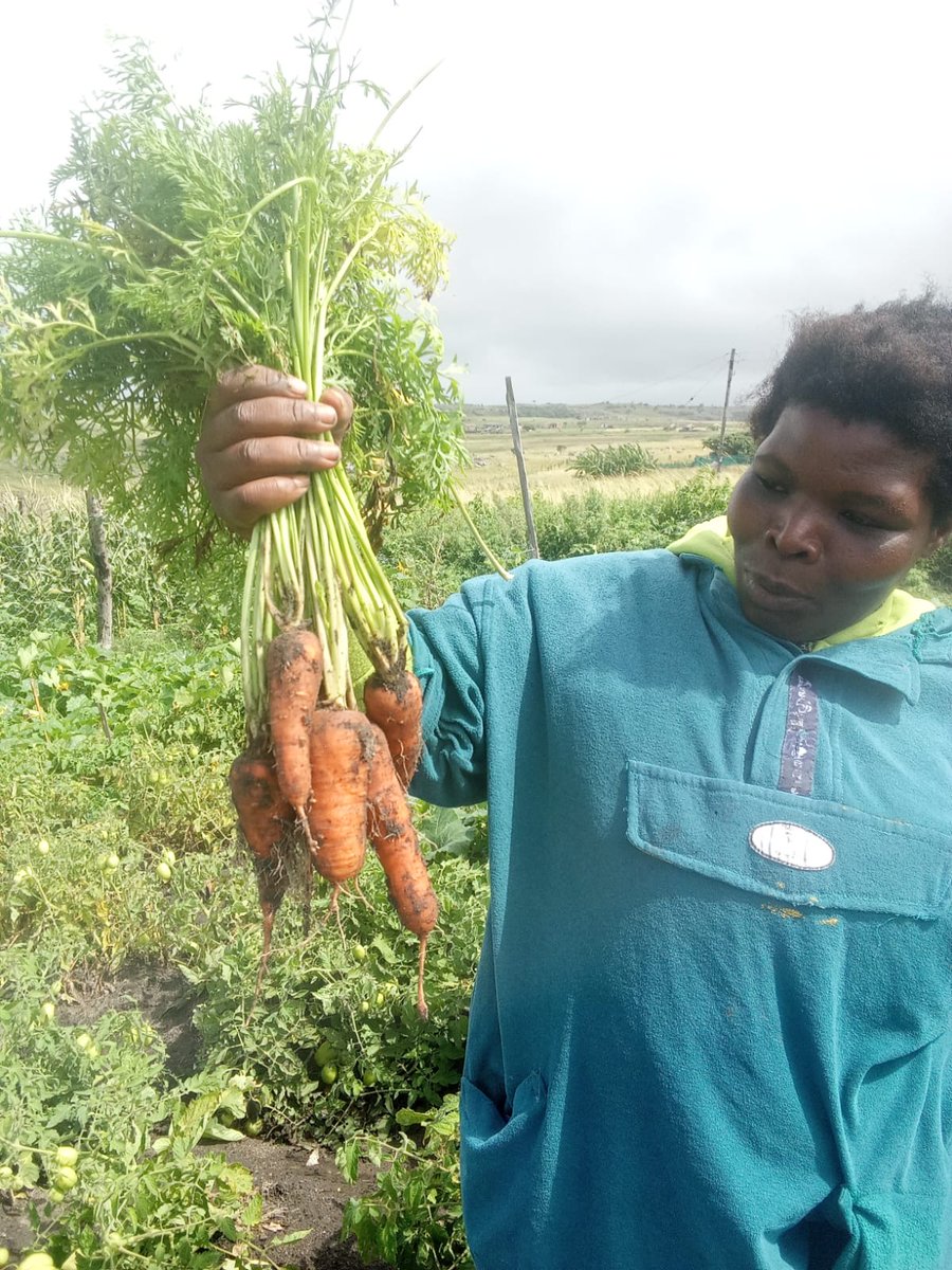 AfricaIgnite's tweet image. 🌱As part of the Food Security theme, seed recycling was introduced, encouraging families to collect, share, and replant seeds—just look at these incredible results! 🌿🍆🌽
🌐africaignite.co.za
#AfricaIgnite #SocialEmploymentFund #WorkforCommonGood #EmpoweringLives