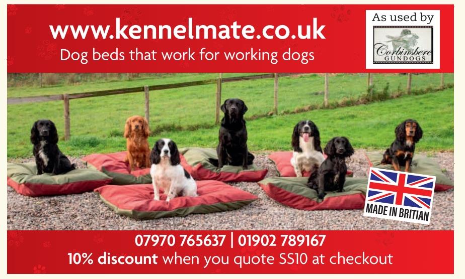 Kennelmate Dog Beds tweet media