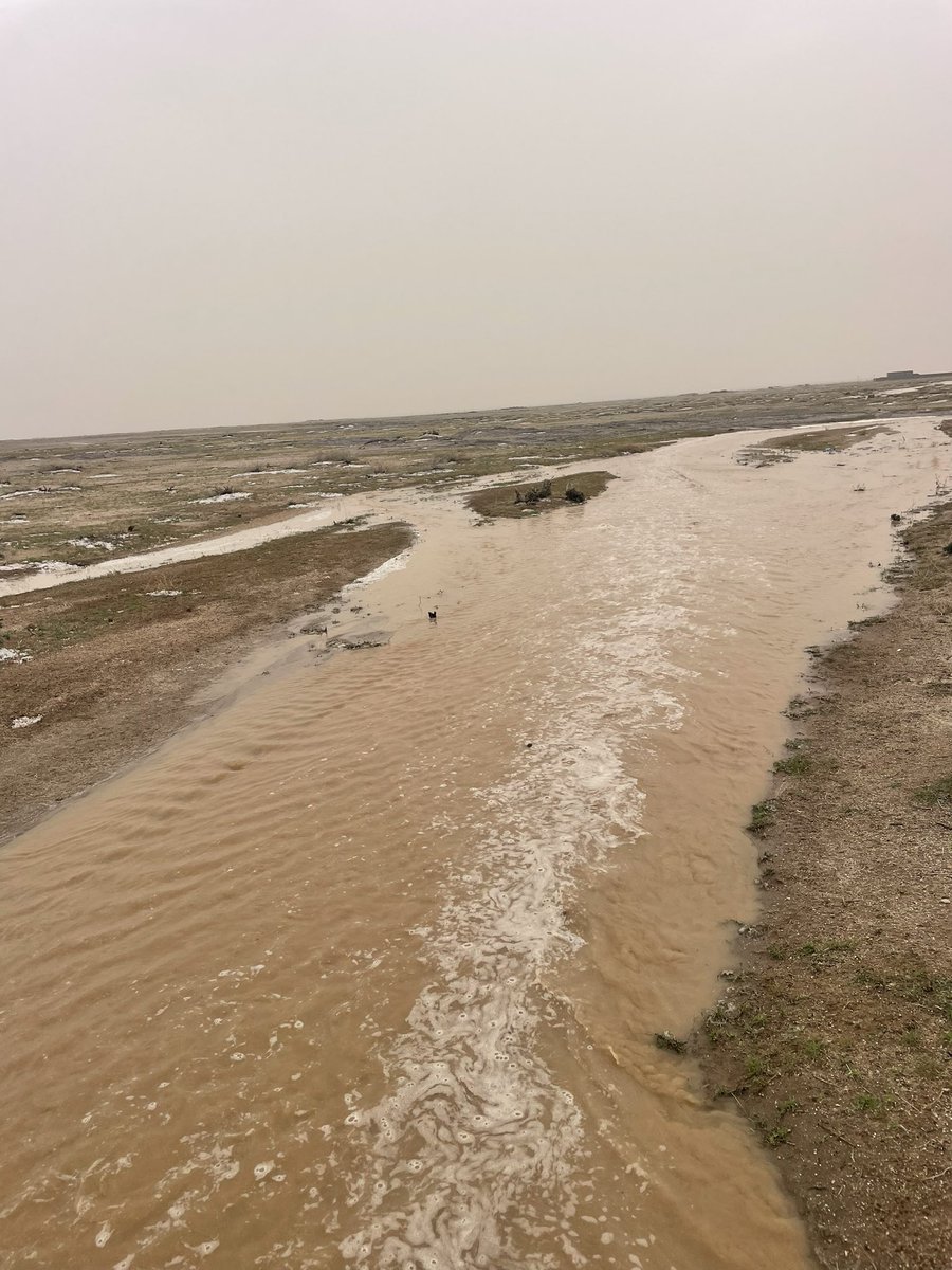 سيل وبرد جنوب نفي الان