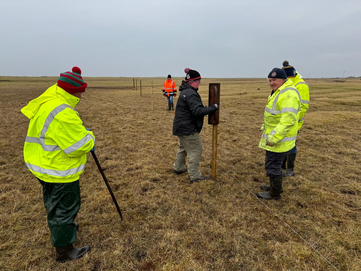 LIFEonMachair's tweet image. February and March with LIFE on Machair is all about fences! A bigger and better temporary fence in The Valley, Achill this year. Landowners have been working with us since 2022 to make safe spaces for the breeding waders, with great success. Watch this space! #biodiversity