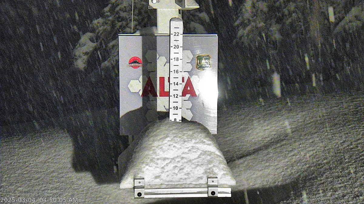 KSL_Matt's tweet photo. Alta has another 8" of snow on the board this morning. Storm total up to 19" now with another few inches likely before the lifts even start spinning! AMAZING how the Cottonwood Canyons can outperform on the regular! #sleeperpowday #altamagic #utwx https://t.co/tM6YLHxFgg