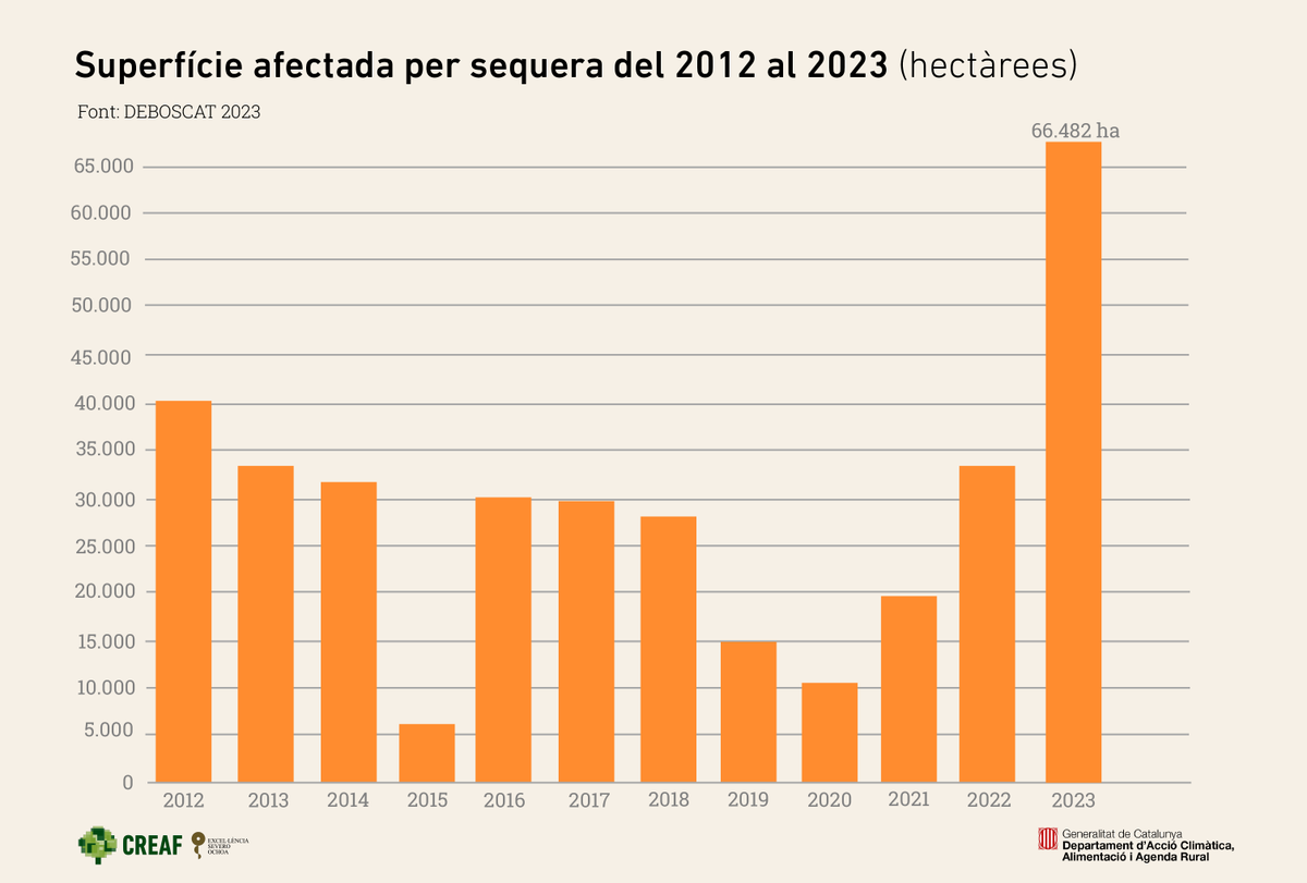 CREAF_ecologia's tweet photo. Els boscos de Catalunya s'han recuperat una mica amb les pluges, perquè el 2024 ha estat força humit, però les temperatures segueixen sent molt altes i això no ajuda. La sequera en els #boscos és un problema de llarg termini 💥 https://t.co/K5gCc52OnL