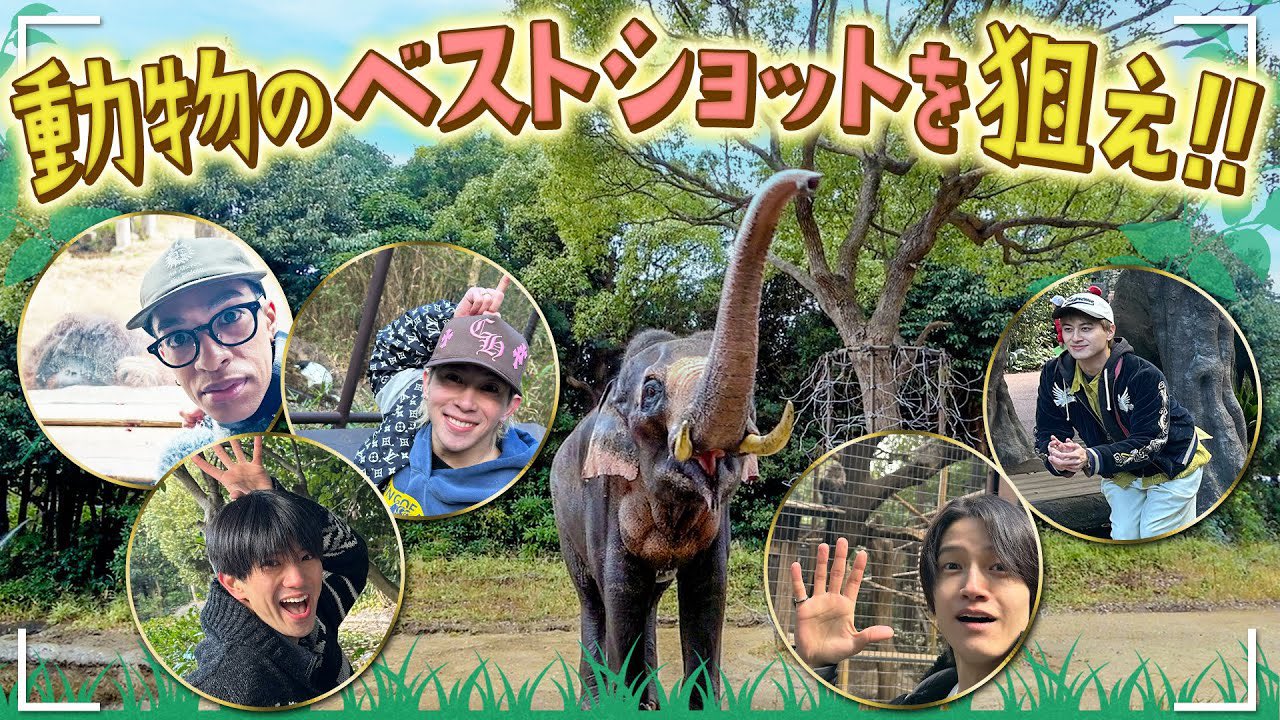 Aぇ! group 公式写真　76枚 Amazon.co.jp: Aぇ! group 公式 生 写真（集合）AGK00548 : おもちゃ