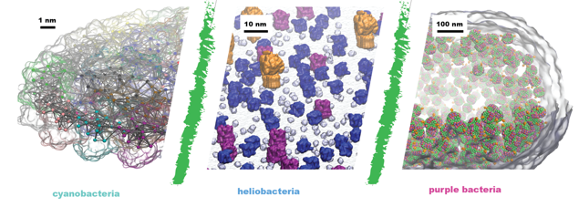 Group embarking on it's most exciting program, combining proteome/cell-scale (100 M atom+) simulations with deep leaning !! 

Immediately seeking researcher scientists with experience, offering 6-figure salary..need to recruit in ASAP. 

Requesting DM &amp; RT !!