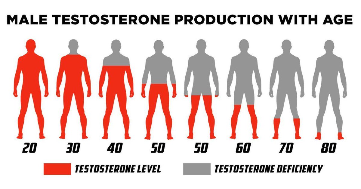 TheBetterPath_'s tweet photo. Low testosterone levels are the REAL pandemic of modern men.  

Here are 6 ways to OPTIMIZE your testosterone levels: 🍆 https://t.co/E7G3LAgfmB